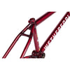WETHEPEOPLE BUCK FRAME