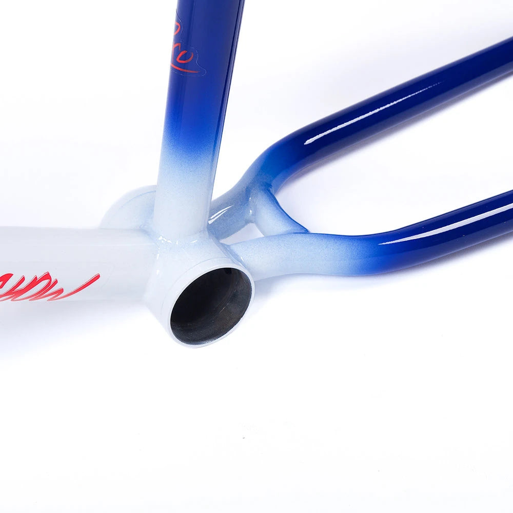 TOTAL BMX TWS PRO FRAME