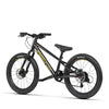 ZUMA 20 Complete Bike