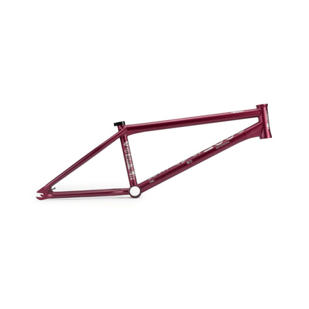 WETHEPEOPLE DOOMSAYER 2025 FRAME