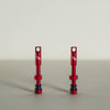 Title Mtb tubeless mountain bike valves red