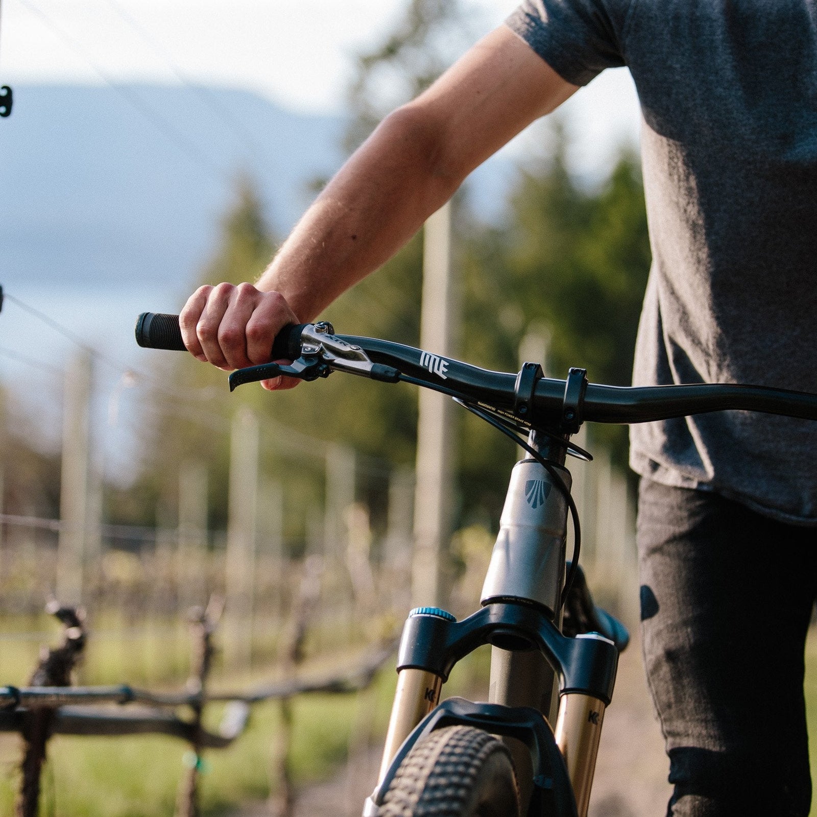 AH1 31.8 - Title MTB black aluminum mountain bike handlebar mounted on bike